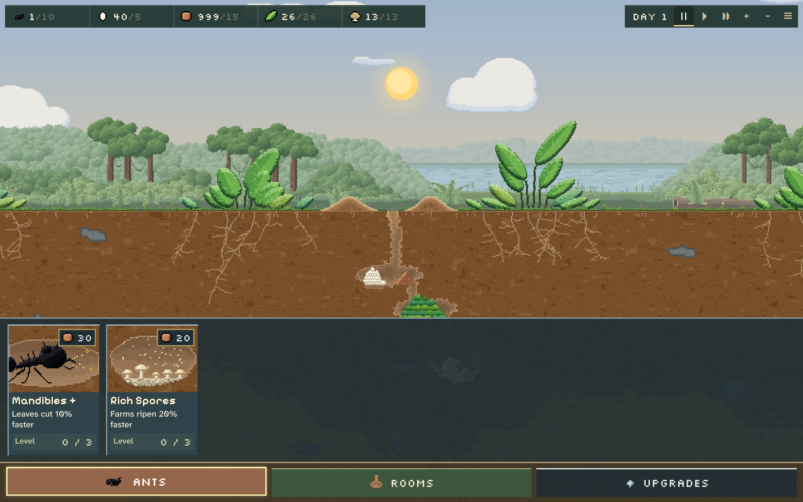 A new colony by day, card deck open